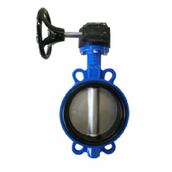 Wafer type butterfly valve with gear soft back seat