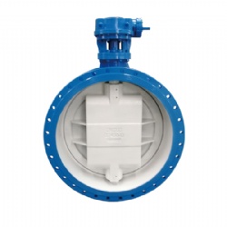 Double eccentric butterfly valve type 1