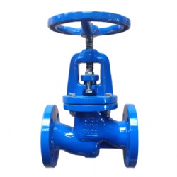 Cast iron globe valve